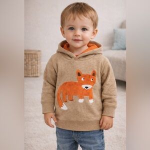 Gymboree Baby Boy Fox Hoodie
